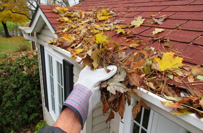Roof Leaf Detection Service