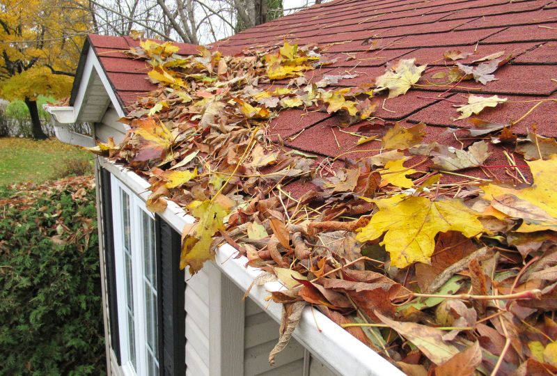 Roof Leaf Detection Service
